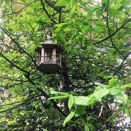 Un Studio Au Milieu Dun Jardin Comme Une Maison דירה