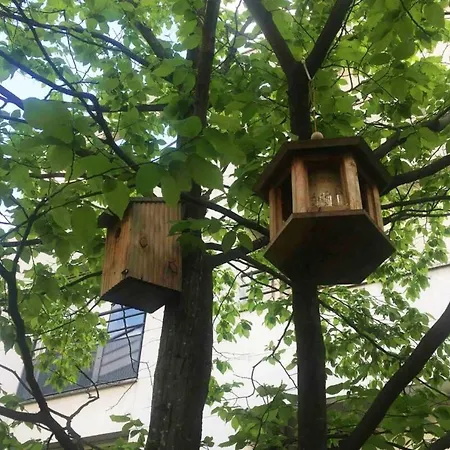 Un Studio Au Milieu Dun Jardin Comme Une Maison * Asnières
