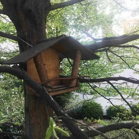 Un Studio Au Milieu Dun Jardin Comme Une Maison * Asnières