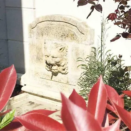 Un Studio Au Milieu Dun Jardin Comme Une Maison *