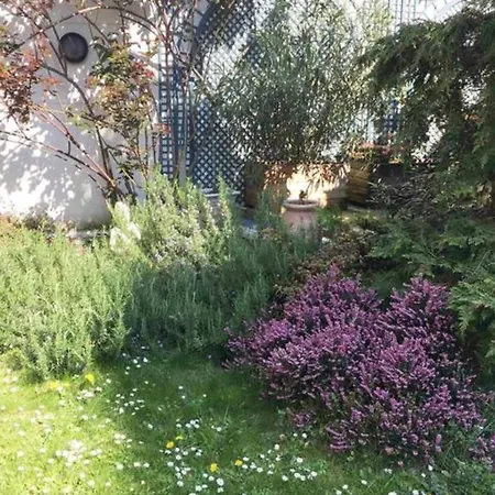 Un Studio Au Milieu Dun Jardin Comme Une Maison * Asnières